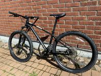 Mouintainbike Specialized