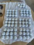Titleist PRO V1 och PRO V1x