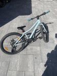 scott contessa 24”
