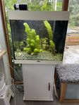 akvarium Juwel