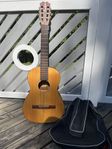 Bjärton (Hagström) gitarr
