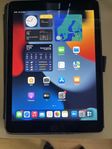 iPad Air 2 (16 GB)