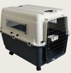 flygbur för hund