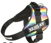 Julius k9 2xl Pride
