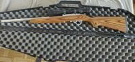 Ruger 10/22 Varmint