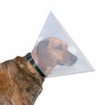 2 st hundkragar