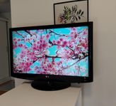TV LG 42" modell 42LH2000-ZA i utmärkt skick