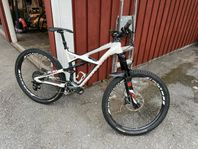 Specializer Enduro FSR elite