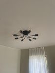 lampa