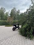 Peugot ludix snake 2012