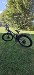 Apollo Muddy 24"