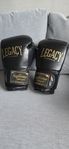 muay thai skydd