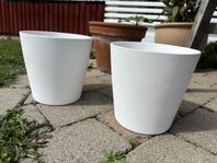 Vita krukor 