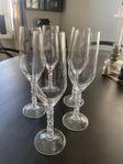 Orrefors Carat Champagneglas