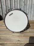 Tama Starphonic Brass 14x6 virvel