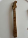 fender Stratocaster hals