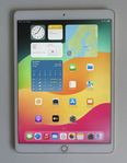 iPad Pro 10.5” WiFi i mkt gott skick