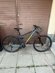 lapierre edge 5.9