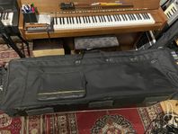 Softcase ROCKBAG by Warwick