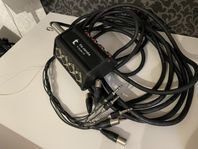 Snake 10 m