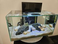 Fluval Edge 23l