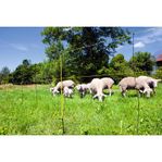 Snabbstängsel - Elstängsel - SmartFence
