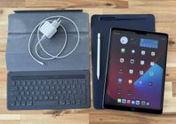 iPad Pro 12.9” WiFi 256GB (2nd gen) med tillbehör