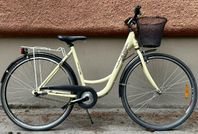 Dam 28" 5'Vxl / 24 Junior 3'Vxl / Dam 26" 3'Vxl