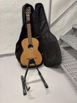 Klassisk gitarr Amada (Tjeckien) + fodral + ställ