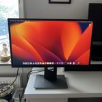 Dell P2417H 24 Tums Full HD 1920x1080 IPS Datorskärm