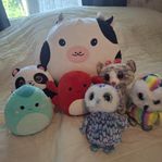 3 ST Ty gosedjur.  Och 4 st Squishmallow 