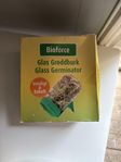 Bioforce Groddburk i glas