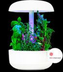 planui smart garden odlingslåda