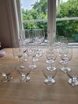 Champagneglas Vinglas Likörglas Fynd