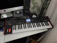 Bahringer Deepmind 12
