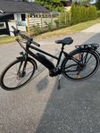 Batavus Zonar 48 cm