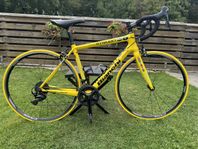Team Rynkeby Bianchi Intrepida