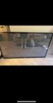 60” Plasma TV (LG 60PZ550N)