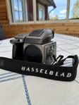 Hasselblad H3Dii-31