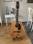 12 strängad gitarr