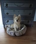 Ajax