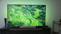 Philips 65" 4K UHD Smart-TV