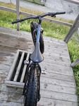 fatbike 