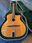 gypsy jazz gitarr