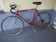 Nishiki Road Master