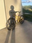 Scott roxter mtb