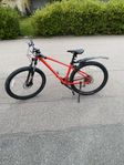 mountainbike (specialized pitch)