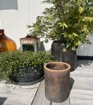 Svart cylinder-formad kruka B green