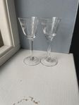 Graverade vintage snapsglas – 2 st