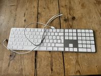 Apple Magic Keyboard, fullstort med TouchID